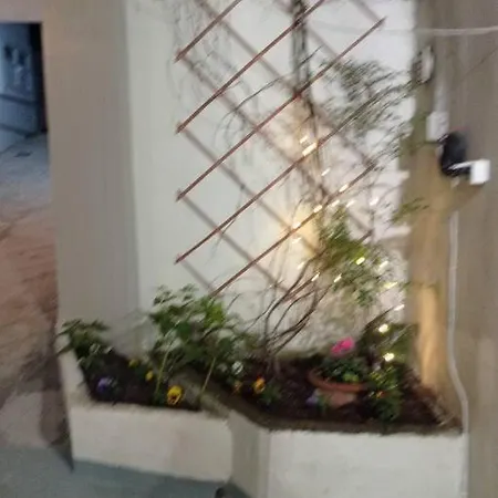 Alex House *